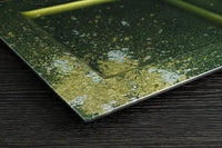 Majo Gold Leaf | Square Rim Plate, 31cm (3 Colours)