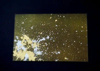 Majo Gold Leaf | Glass Plate (3 Colours)
